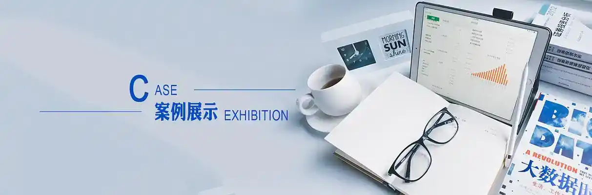 仁布县软件开发